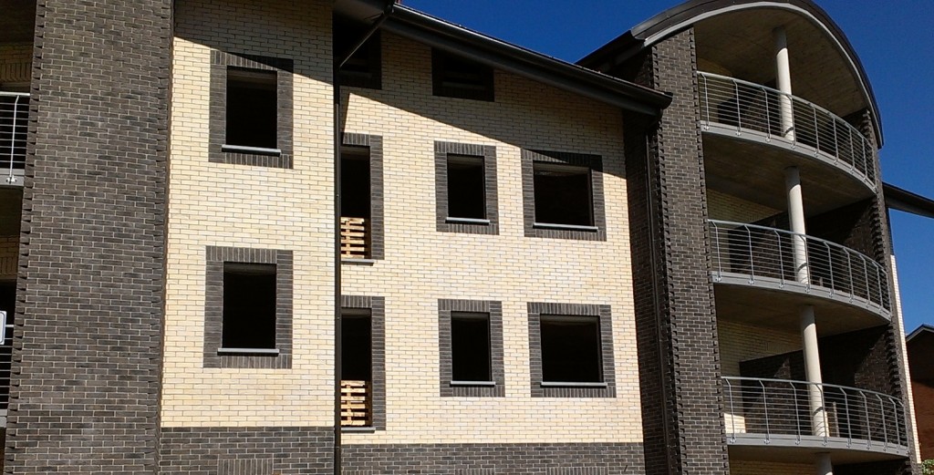 Кирпич SELMO SUPERIOR LINE, Milano, 250x120x55, S.Anselmo